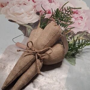 Easter Carrots  Bunch NWT